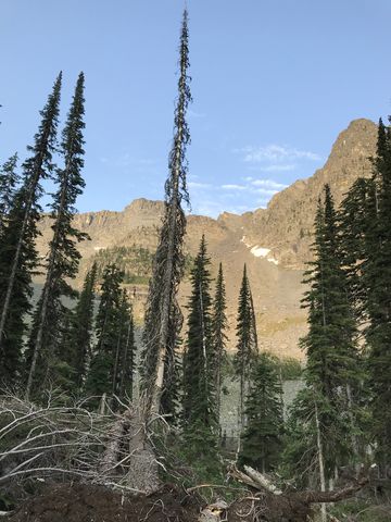 Ibex Peak