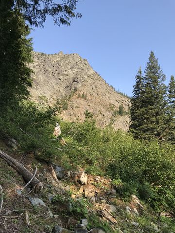 A difficult-to-travel clearing and Little Ibex Peak in the background