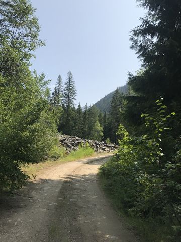 Access road to the trailhead