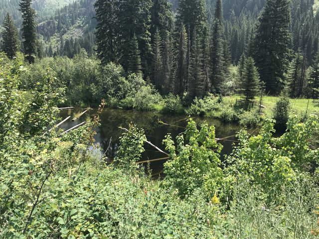 Rock Meadows. Once home to a beaver farm