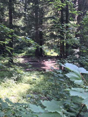 A campsite in the woods about halfway on the way to the lake