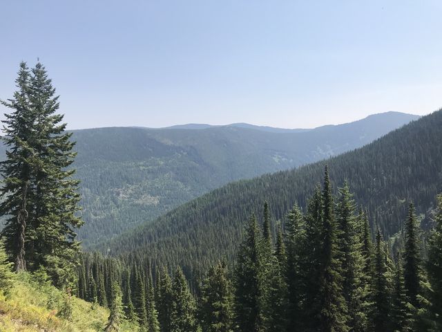 Shortly after the fork to Hoodoo Lake, the forest retreats and views open up