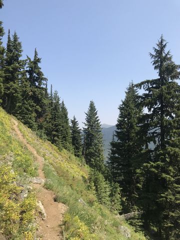 The trail crosses this steep alpine meadow