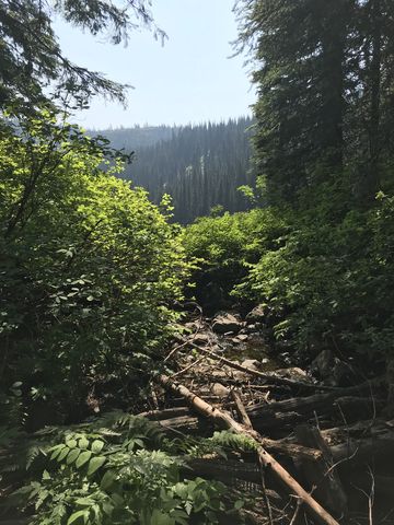 Lake Creek, just below the lake