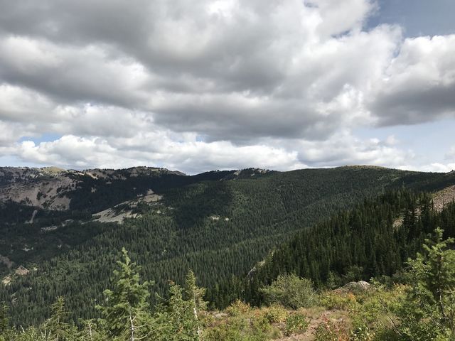 The forested hillsides stretching out to Latour Peak