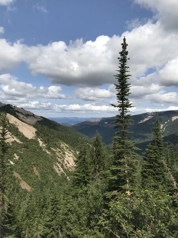 View of the Latour Creek mouth