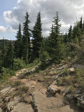 Most of the trail is in good conditions, but there are some rocky spot and exposed roots