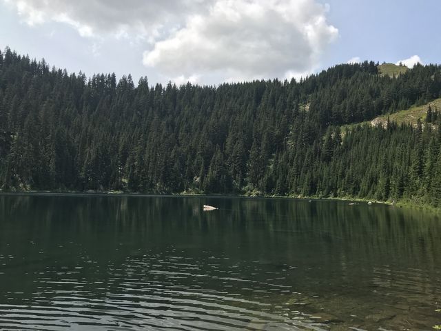 Crystal Lake and the forested slope of Reeds Baldy