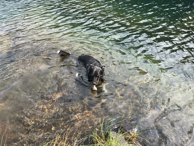 Naughty taking a swim