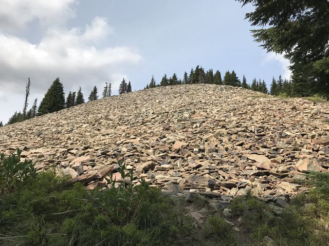 The ascent to Pearson Peak crosses more talus