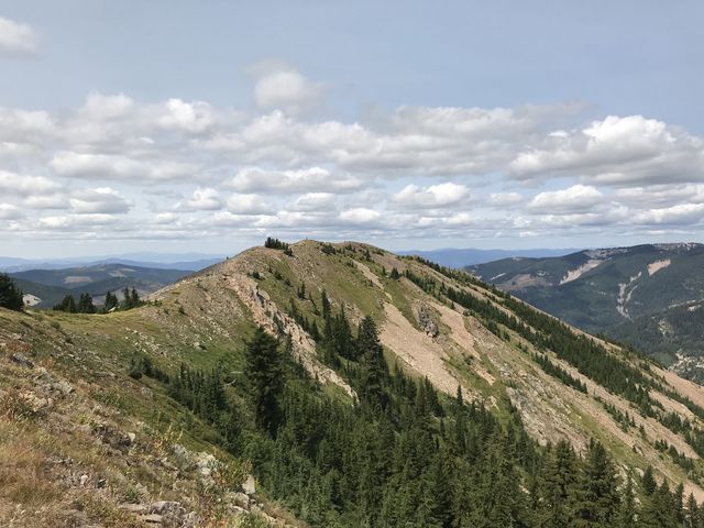 Pearson Peak