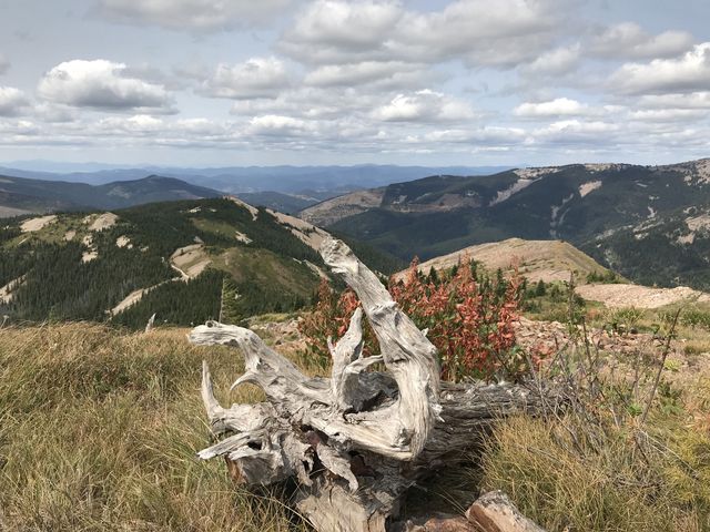 View into the Palouse and Coeur dAlene Mountains from Pearson Peak