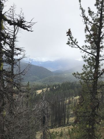 View from Granite Peak towards the Mallard-Larkins crest