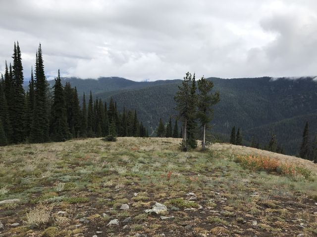 View from a grassy knoll below Granite Peak