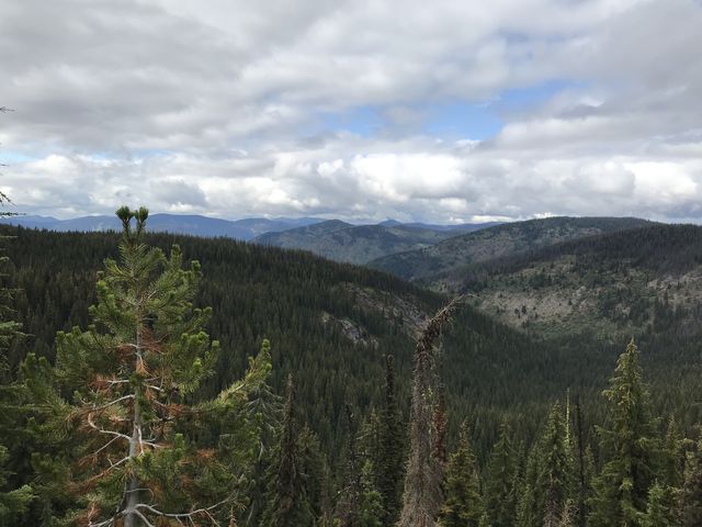 View from Scribner Falls trail. The falls are on that bare granite patch in the center-left of the photo