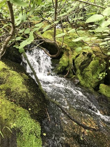A small waterfall above Scribner Falls