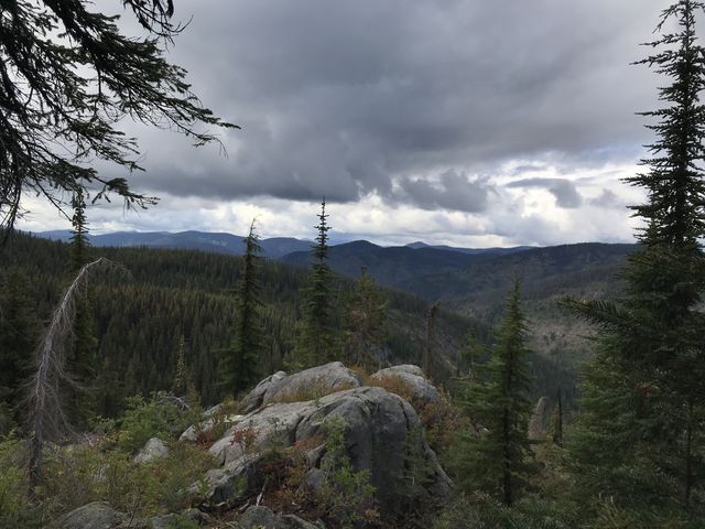 View from Scribner Falls trail towards Snow Peak