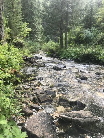 Canyon Creek. The trail criss-crosses the creek many times