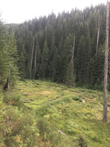 Oxbow in Canyon Creek