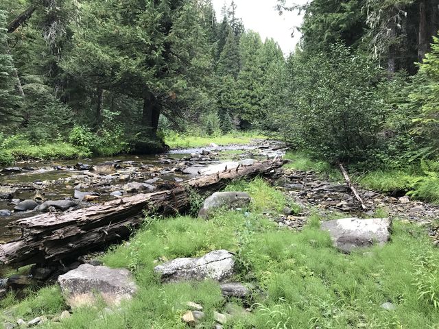 Buck Creek is rather pretty and verdant