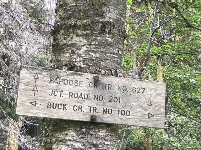 A signed intersection in the overgrown woods. Heading right gets you into this….