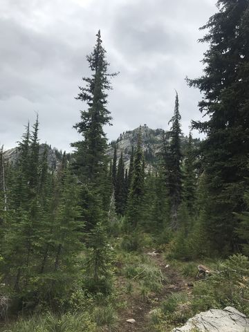 Early in trail #55 you get a quick glance of Snow Peak. For most of the hike it remains hidden