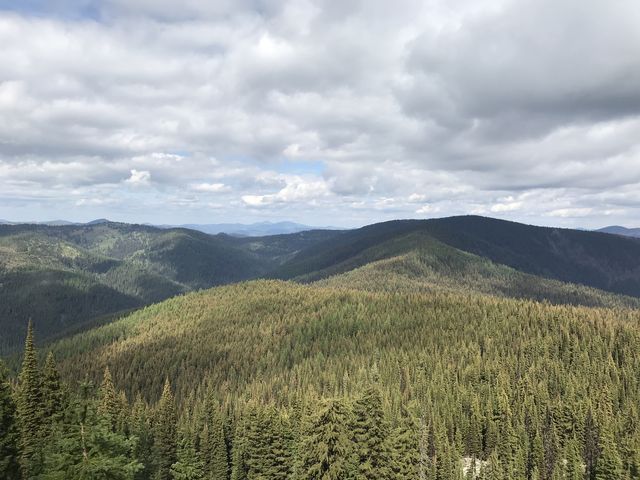 The wooded ridge which trail 55 follows