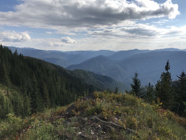 View south into the deep canyon of the Little North Fork Clearwater