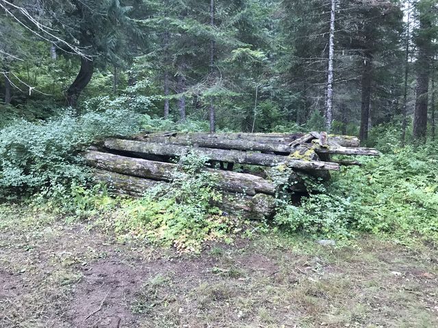 Trappers Cabin at the confluence of the Canyon Creek and Little North Fork Clearwater River