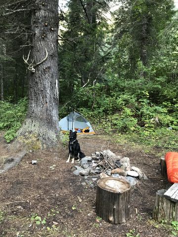 A pretty campsite is right next to the cabin, complete with…