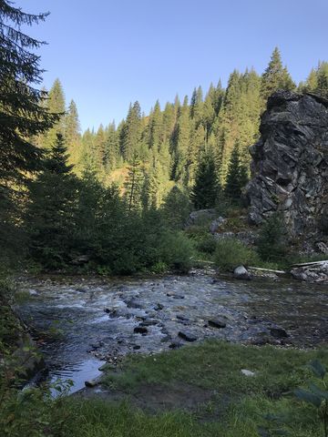 Canyon Creek in morning light