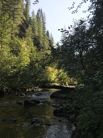 Sawtooth Creek. It was the deepest fording, about knee-deep