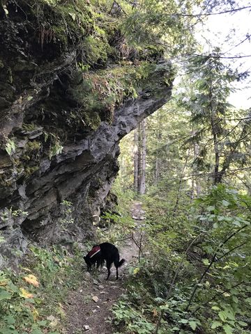 Trail #50 follows the Little North Fork beneath a rock outcropping