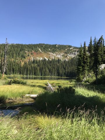 Mud Lake and its outlet. Gnat Ridge in the background