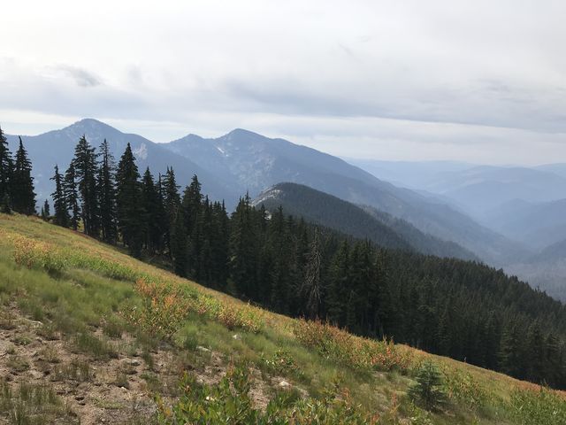 An alpine meadow on the south face of Mallard Peak