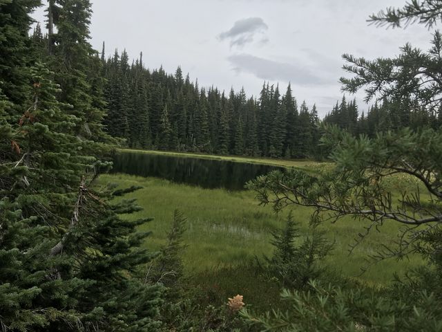 Mallard Lake up close. Theres not much of a headwall, made up for by a pretty meadow