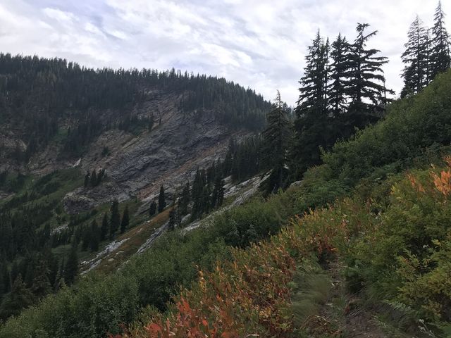 Climbing an overgrown meadow back up to the Mallard-Larkins crest (Martin Creek trail)