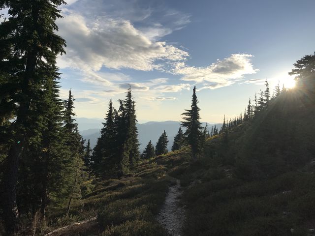 The top of Mallard Peak