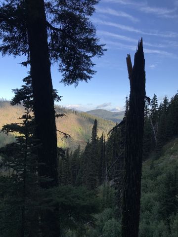 View from trail #11 towards Snow Peak