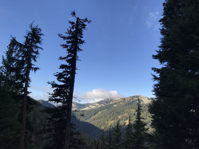 Looking back towards Mallard Peak from trail #11