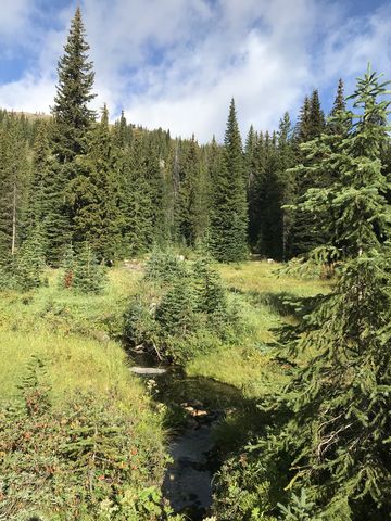 A brook near Table Campground