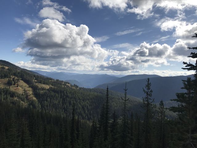 Timber Creek (Granite Peak front left)