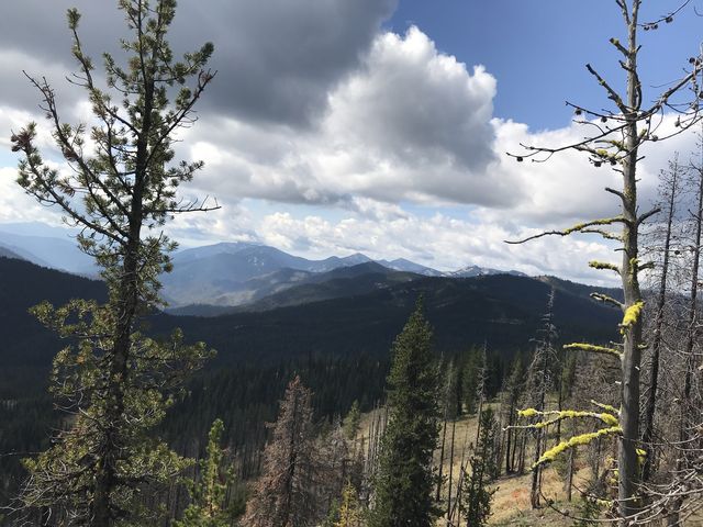 Looking back from Granite Peak towards the Mallard-Larkins Crest