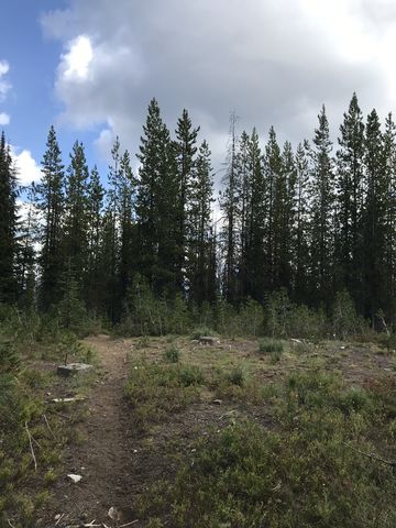 Club Point, a former lookout tower site on Copper Ridge