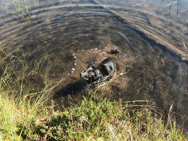 Naughty cooling off in Upper #4