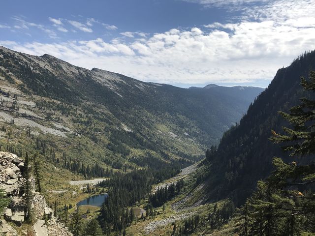 Looking out over the Swamp Creek valley