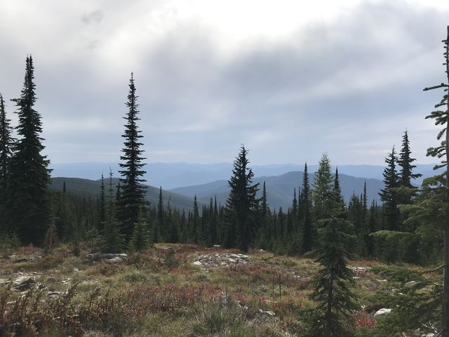 View from the Goat Ridge trail to the haze (Rampike fire) over the Coeur dAlene Mountains