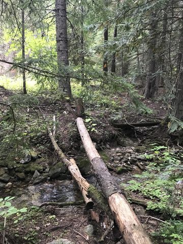 This served as the "bridge" over McKay Creek