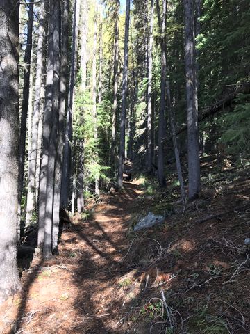 The trail is easy going for the most part and nicely shaded
