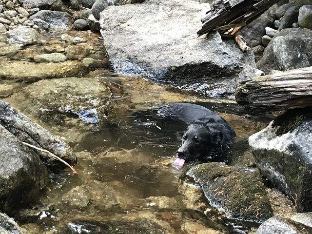 Naughty cooling off in the one and only brook